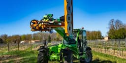 5 -  thumb